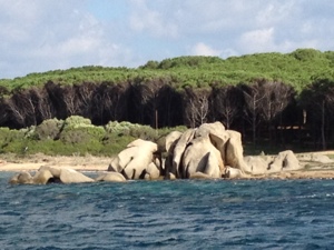 20121010-135917.jpg